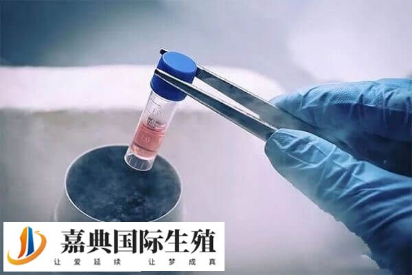 影响试管婴儿成功率的因素有哪些(图1)
