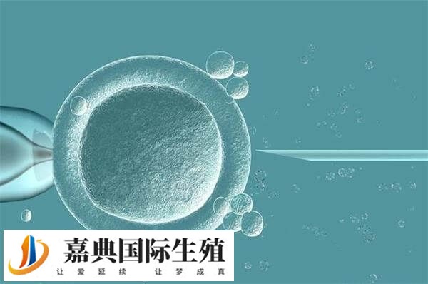 试管基础卵泡几个最好(图1)