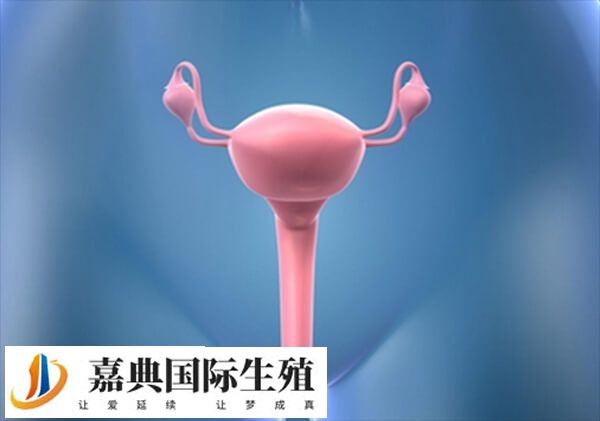 宫腔中度粘连做二代试管成功率高不高(图1)
