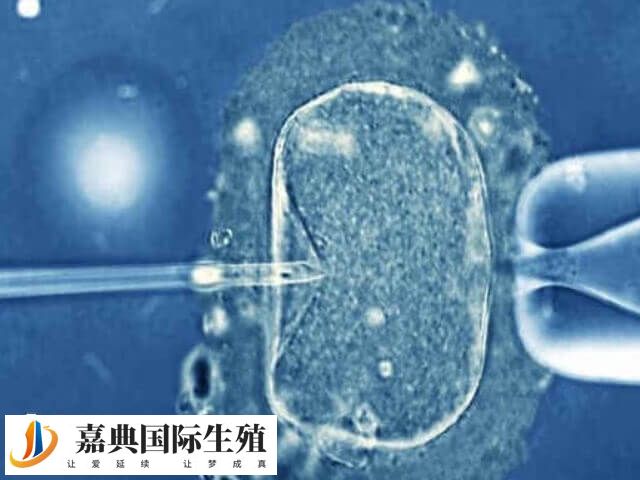 如何避免三代试管移植再次失败(图1)