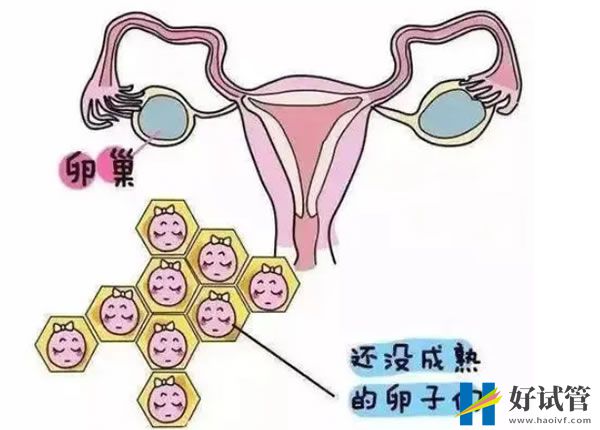 在山东做试管婴儿费用包括哪些？试管费用差异受什么影响 (图1)